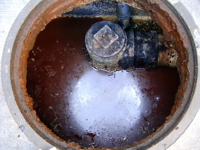Trampa de grasa limpia después del tratamiento con BIOBAC GRS